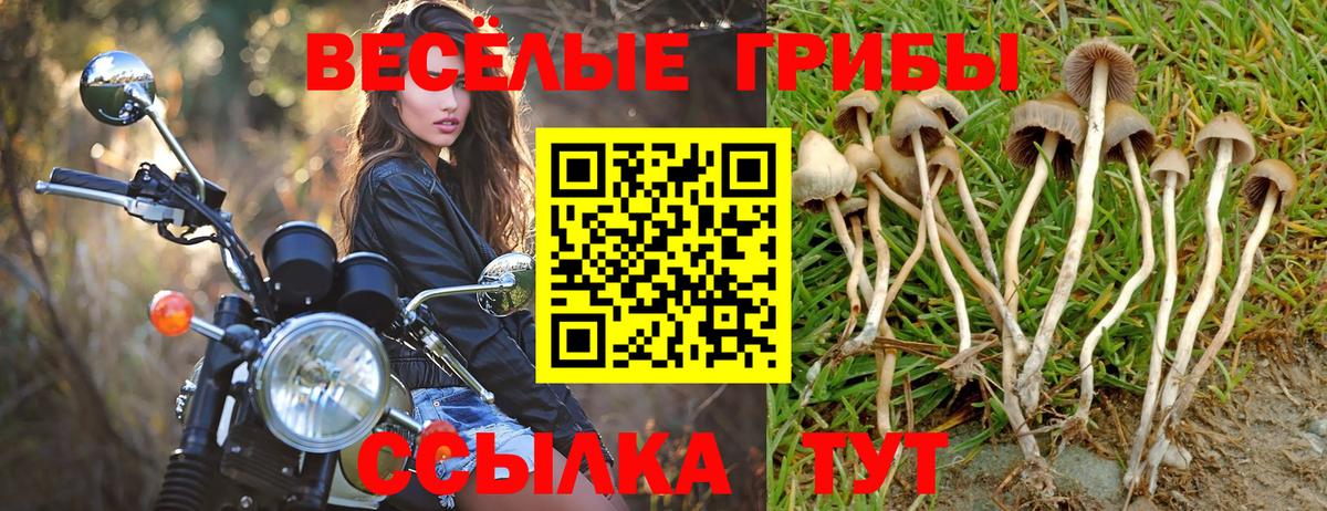 Петропавловск-Камчатский  Галлюциногенные грибы MAGIC MUSHROOMS  Вход с VPN  Галлюциногенные грибы MAGIC MUSHROOMS 